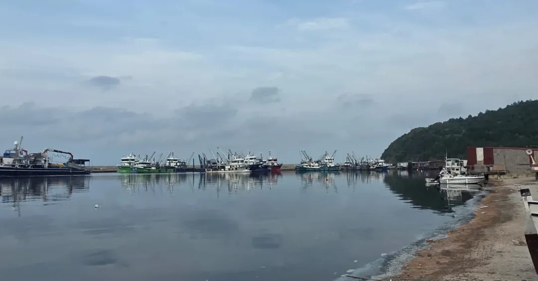 GÜZELKENT LİMANI'NDA HAMSİ DENETİMLERİ SÜRÜYOR HAMSİ AVCILIĞINDA SÜRDÜRÜLEBİLİRLİĞİ SAĞLAMAK...