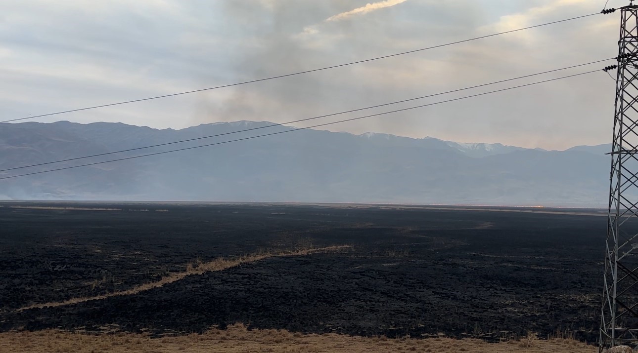 HAKKARİ’NİN YÜKSEKOVA İLÇESİNDE YÜZLERCE KUŞ TÜRÜNE EV SAHİPLİĞİ YAPAN, BÖLGENİN CAN DAMARI NEHİL...