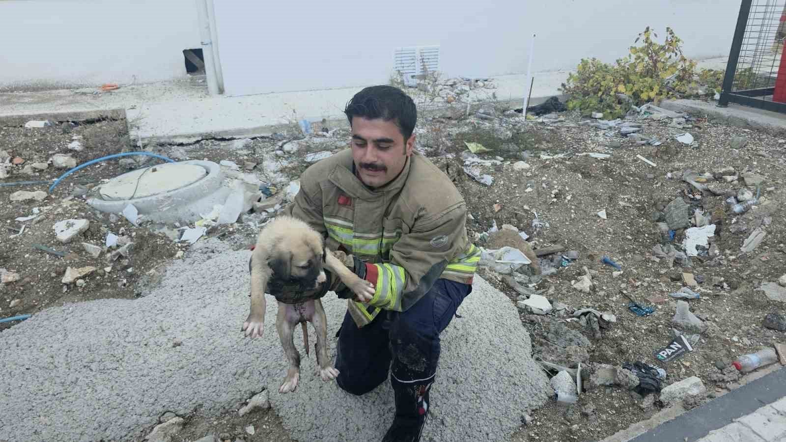 HATAY’IN ANTAKYA İLÇESİNDE YAĞMUR SUYU DEPOLAYAN RÖGARA DÜŞEN YAVRU KÖPEK, İTFAİYE EKİPLERİ...