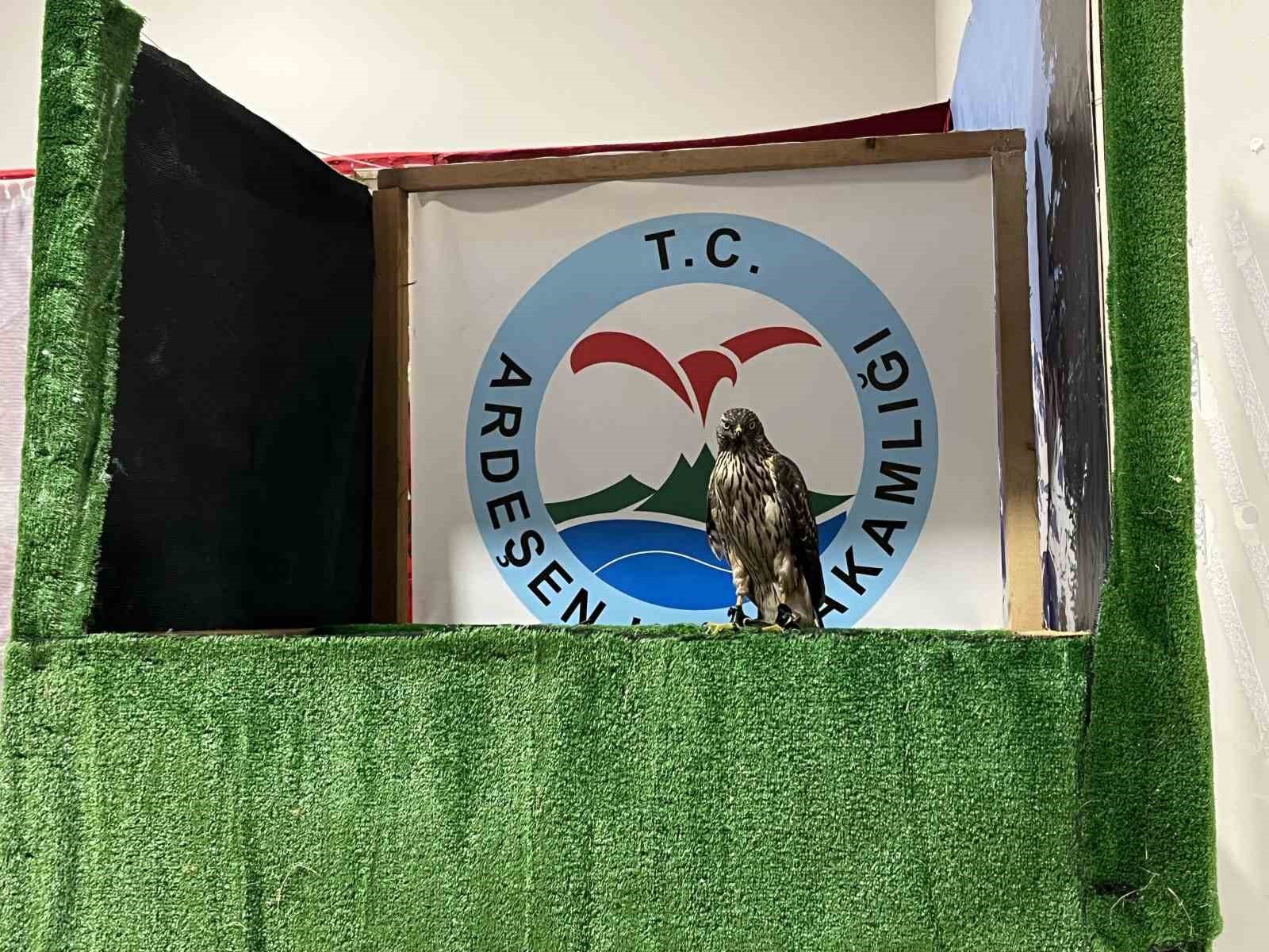 İSTANBUL'DA 14. RİZE GÜNLERİ, ATATÜRK HAVALİMANI MİLLET BAHÇESİ'NDE DÜZENLENEN AÇILIŞ PROGRAMI İLE...