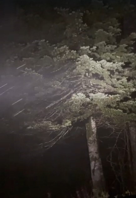 İSTANBUL'UN YANI BAŞINDAKİ ÖNEMLİ KIŞ TURİZM MERKEZİ KARTEPE'DE KAR YAĞIŞI BAŞLADI.