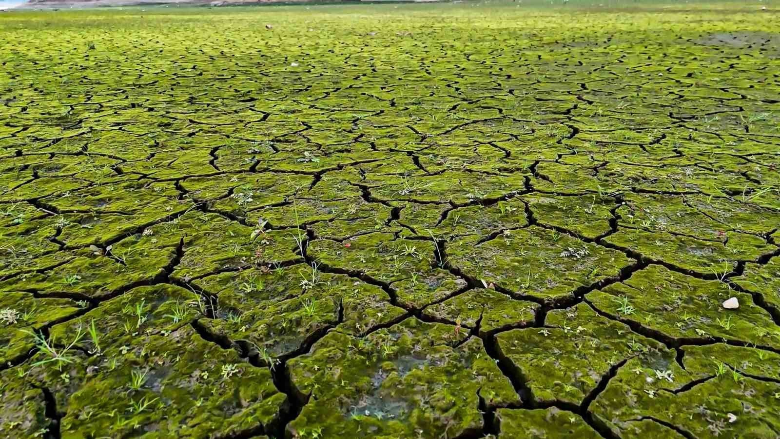 İSTANBUL BARAJLARINDAKİ SU SEVİYESİ KRİTİK DÜZEYLERE GERİLEMEYE DEVAM EDİYOR. ÖMERLİ BARAJI'NDA...