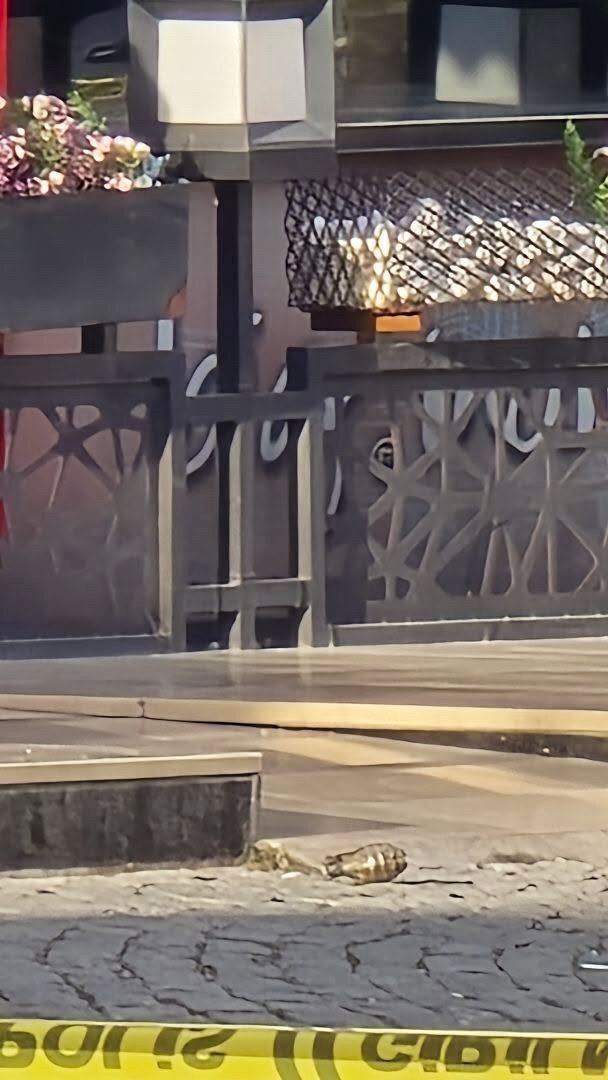 İSTANBUL ESENYURT’TA BİR OTELE PİMİ ÇEKİLİ HALDE EL BOMBASI ATILDI. BOMBA PATLAMAZKEN, OLAY YERİNE...