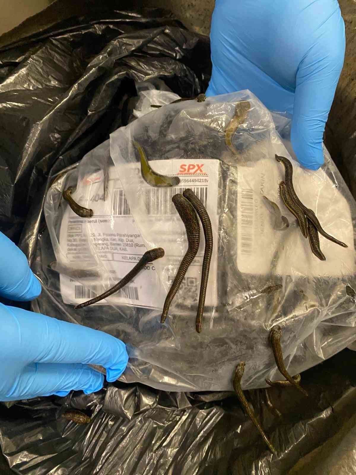 İSTANBUL HAVALİMANI’NDA YASA DIŞI YOLLARLA TÜRKİYE’YE SOKULMAYA ÇALIŞILAN 1,5 KİLOGRAM...