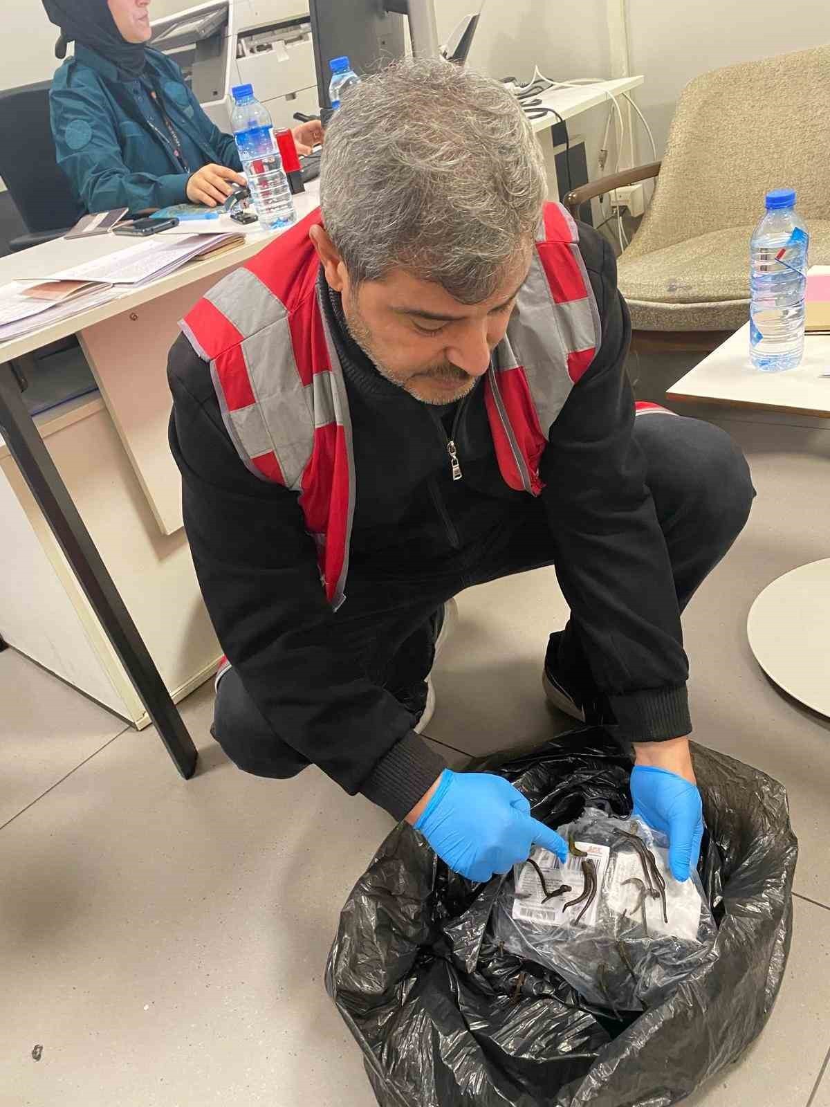 İSTANBUL HAVALİMANI’NDA YASA DIŞI YOLLARLA TÜRKİYE’YE SOKULMAYA ÇALIŞILAN 1,5 KİLOGRAM...