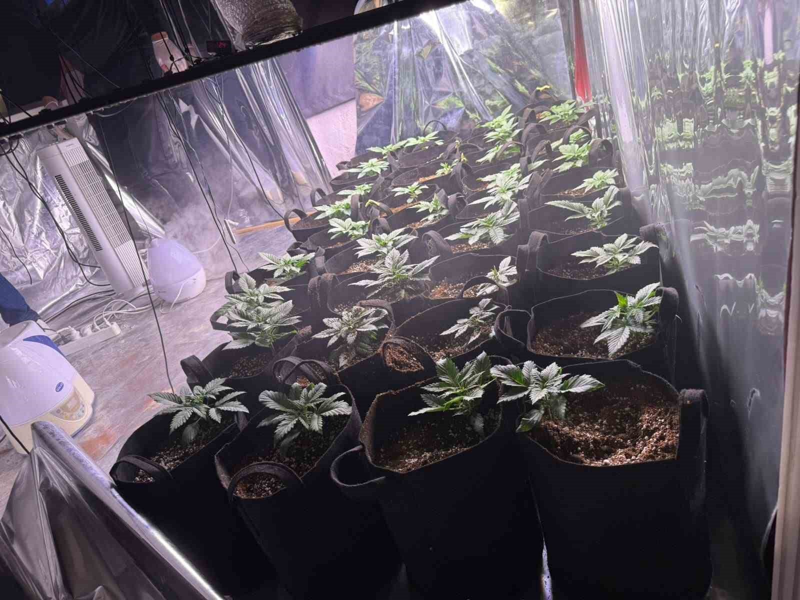 İZMİR’İN KONAK İLÇESİNDE BİR ADRESE DÜZENLENE OPERASYONDA YÜKLÜ MİKTARDA UYUŞTURUCU MADDE ELE...