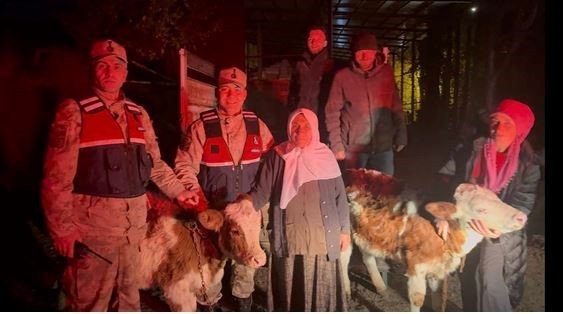 JANDARMA ÇALINAN HAYVANLARI SAHİBİNE TESLİM ETTİ. (OLGUN YILDIZ/ARDAHAN-İHA)