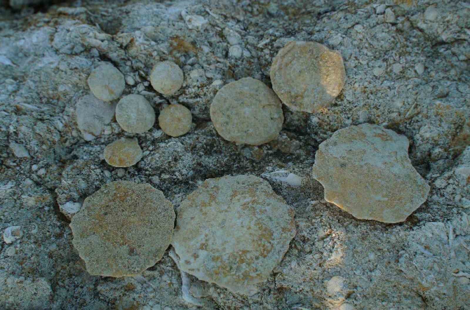 KASTAMONU’NUN 11 İLÇESİNİ KAPSAYAN KASTAMONU GÜNEY KARADENİZ JEOPARKI’NIN "UNESCO KÜRESEL...