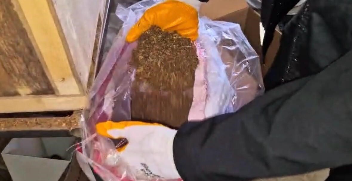 KAYSERİ’DE POLİS EKİPLERİ TARAFINDAN YAPILAN ÇALIŞMALARDA, BİR İKAMETTE 49 BİN 200 ADET KAÇAK...