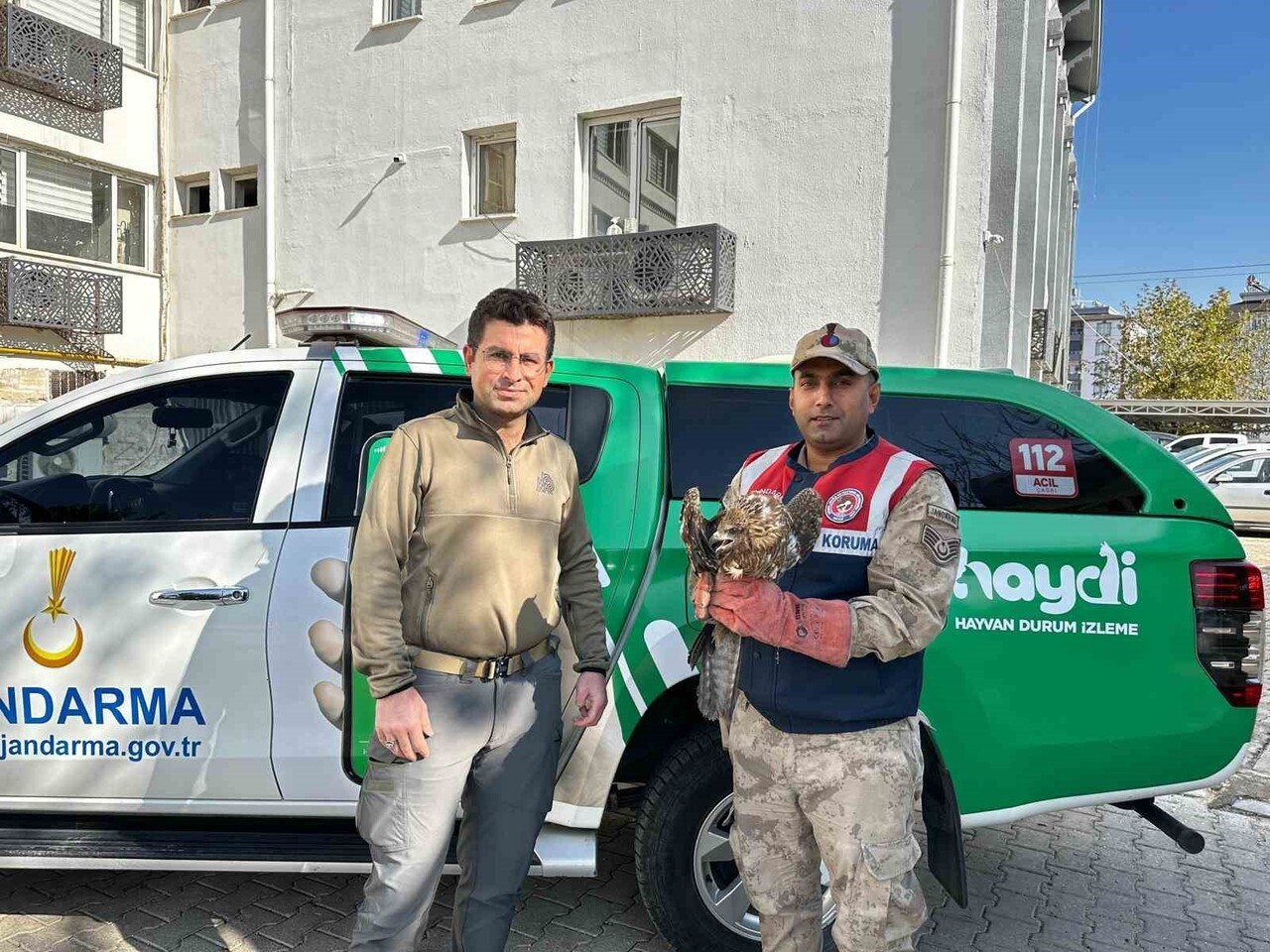 KİLİS’TE YARALI KIZIL ŞAHİN KUŞU KORUMA ALTINA ALINDI