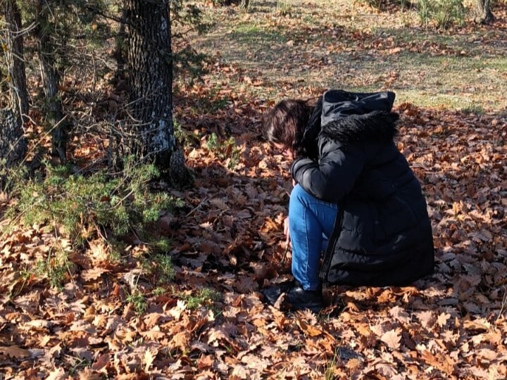 KIRKLARELİ'DE HUBUBAT ALANLARINDA SÜNE ZARARLISINDAN KORUMAK AMACIYLA "SONBAHAR KIŞLAK SÜRVEYLERİ"...
