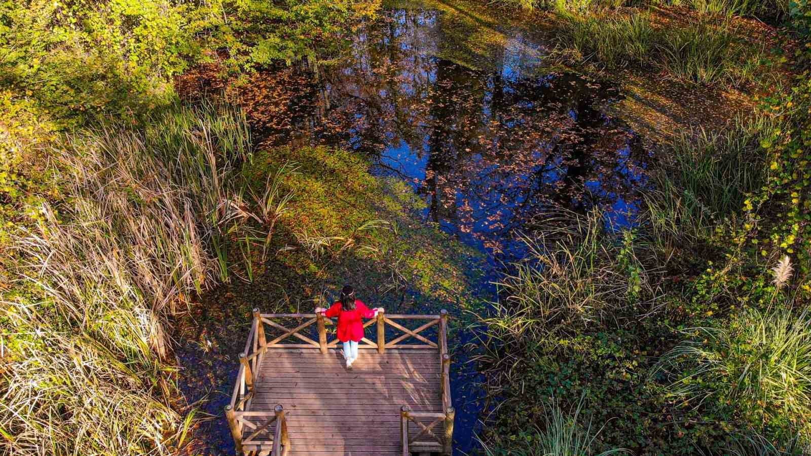 KOCAELİ BÜYÜKŞEHİR BELEDİYESİ BÜNYESİNDE HİZMET VEREN ORMANYA DOĞAL YAŞAM PARKI, SONBAHAR...