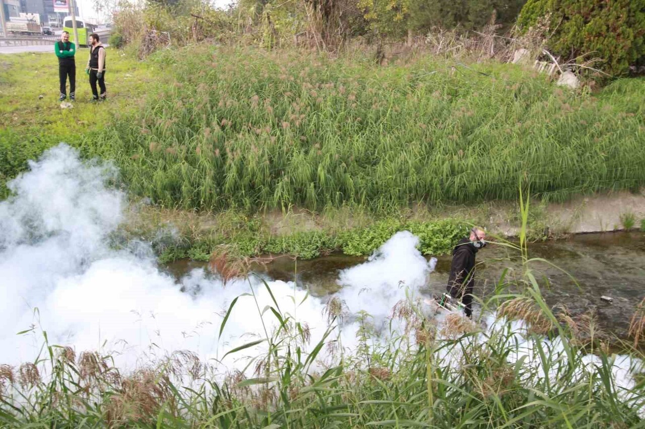 KOCAELİ BÜYÜKŞEHİR BELEDİYESİ, SİVRİSİNEKLERLE MÜCADELE ÇALIŞMALARINI SONBAHAR VE KIŞ DÖNEMİNE...