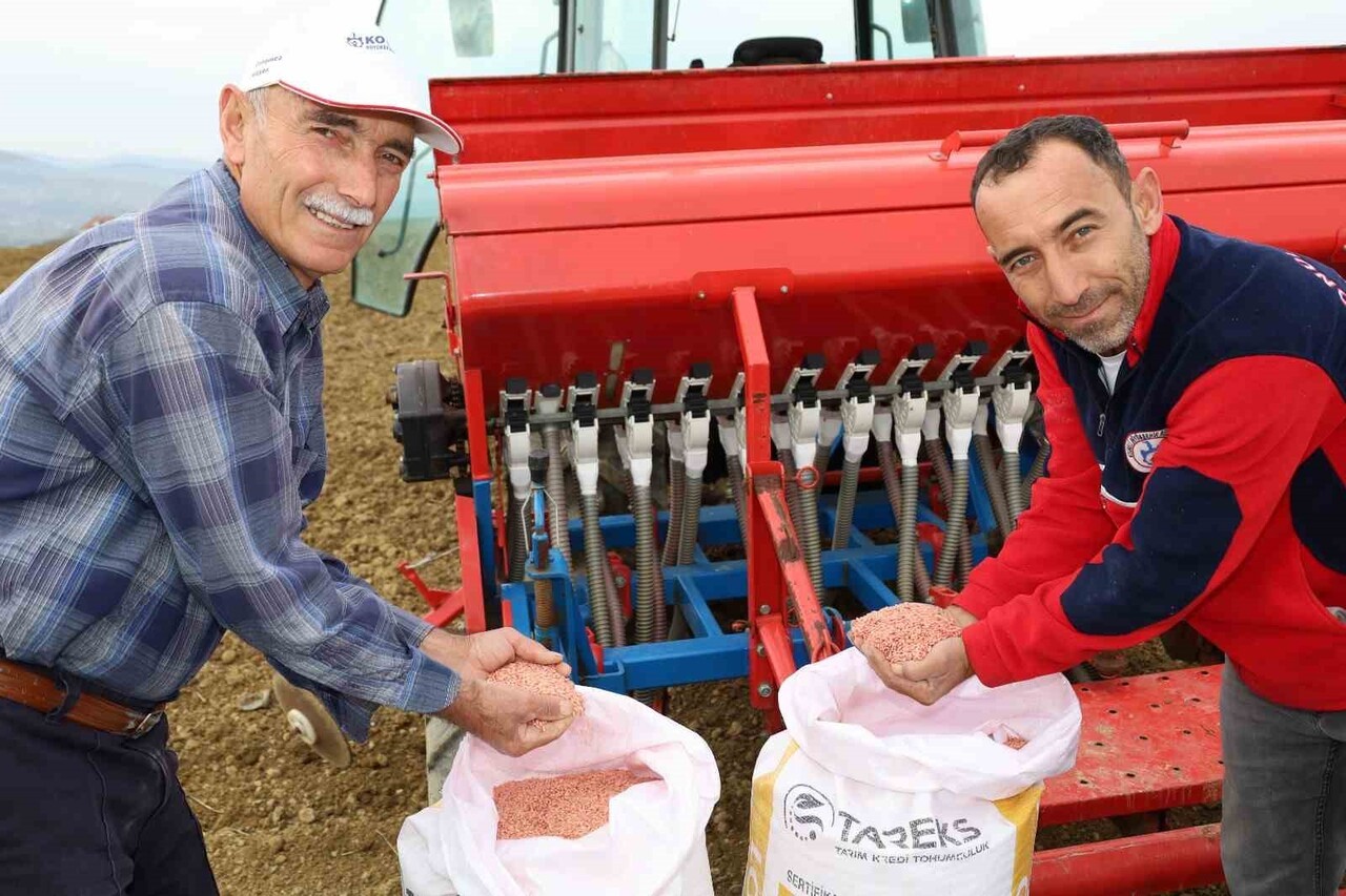 KOCAELİ BÜYÜKŞEHİR BELEDİYESİ TARAFINDAN SONBAHAR DÖNEMİNDE YÜZDE 75 HİBE İLE DAĞITILAN ARPA, SÜT...