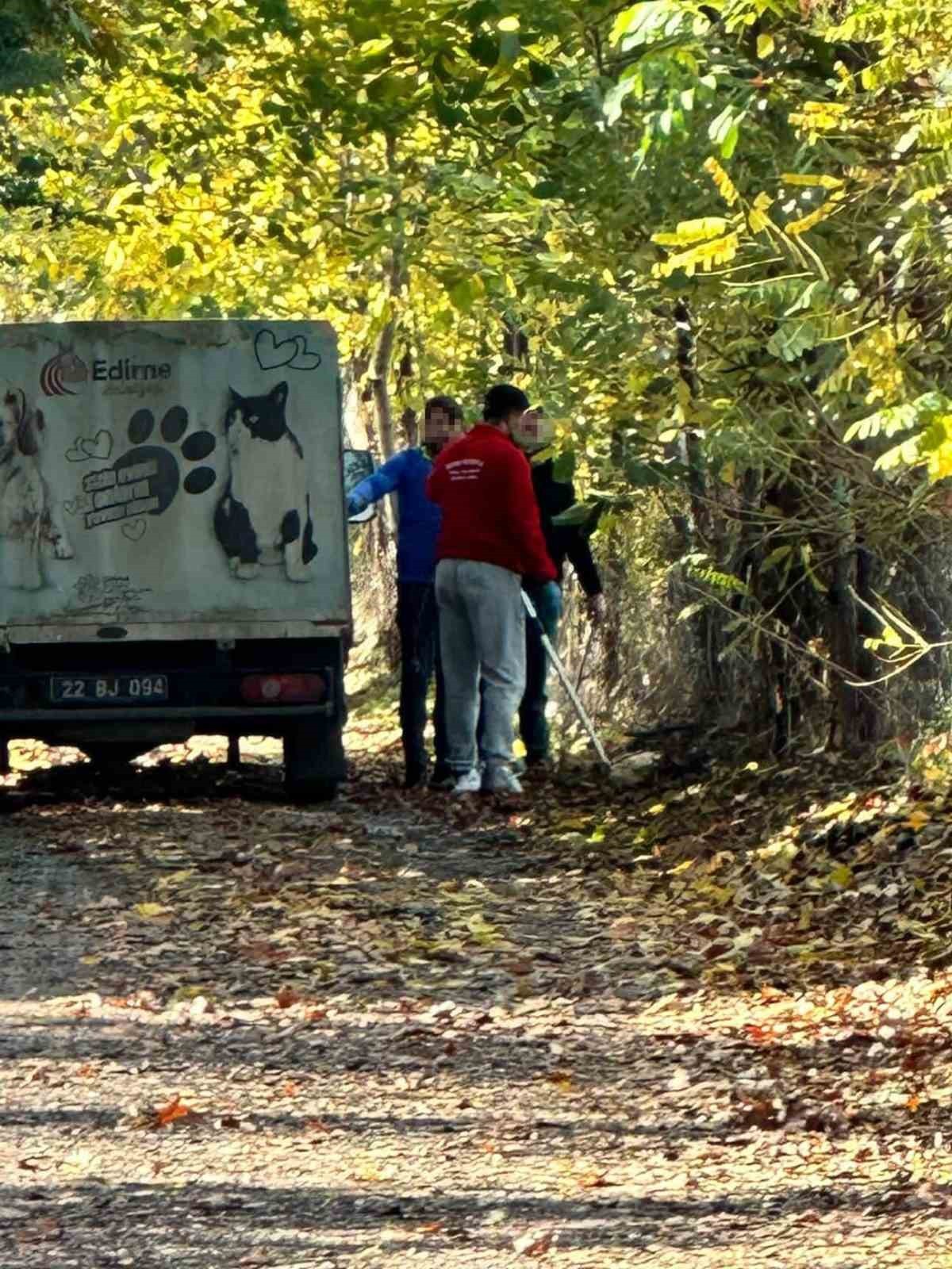 KÖPEK TOPLAMA ARACI BAŞINDA BEKLEYEN BELEDİYE PERSONELİ