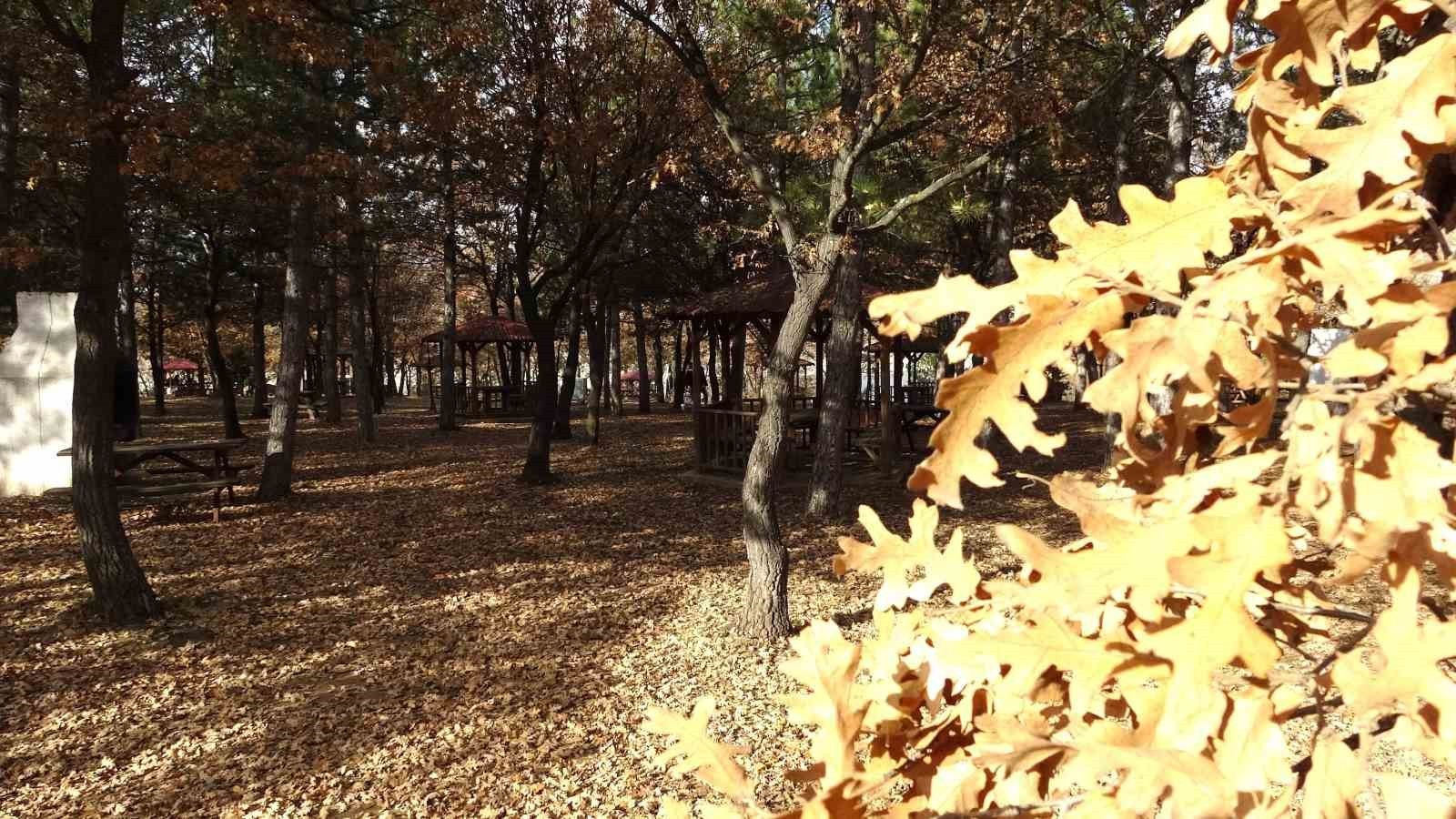 KÜTAHYA'DA SONBAHAR GÜZELLİĞİ