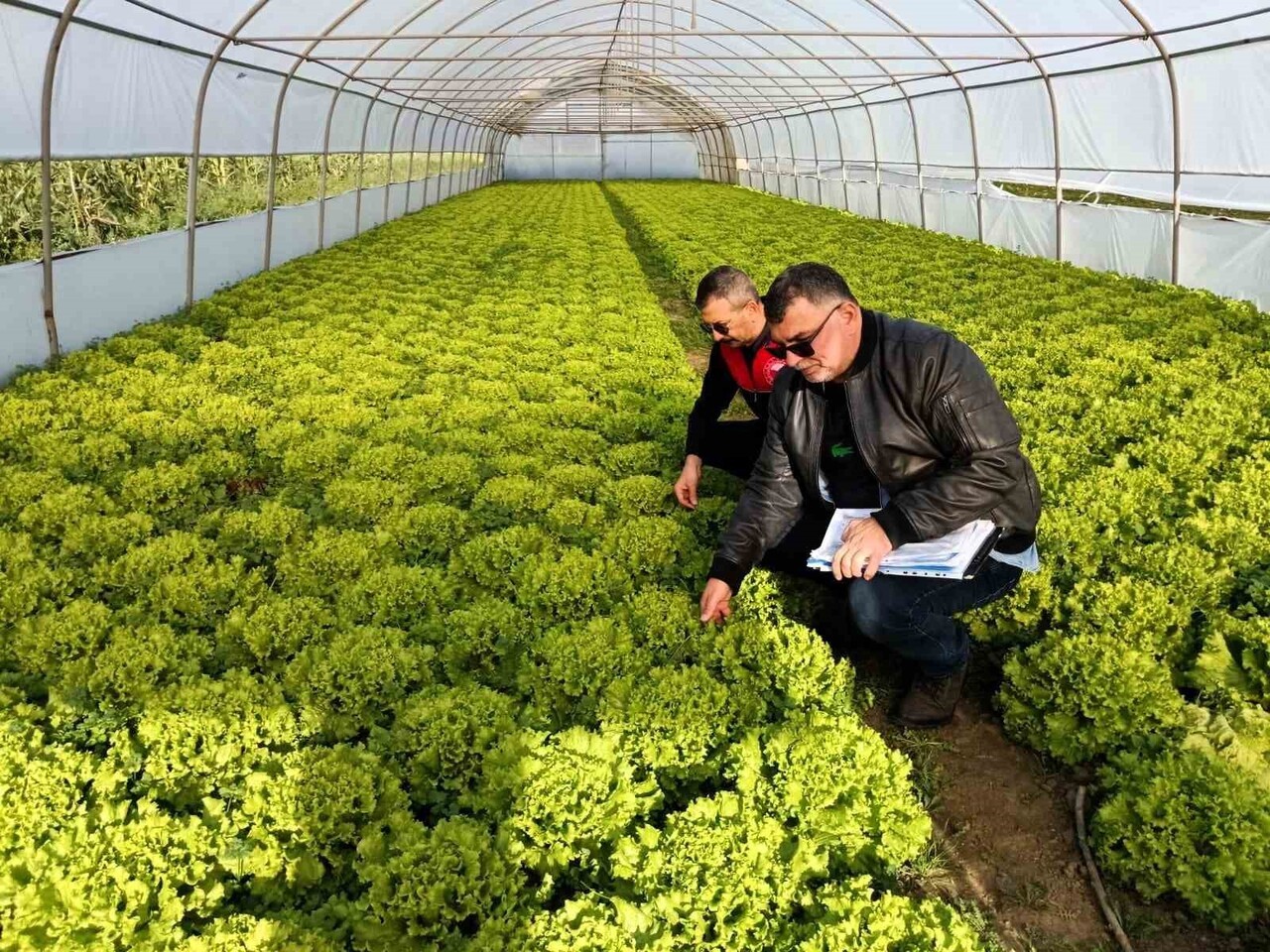 LÜLEBURGAZ İLÇE TARIM VE ORMAN MÜDÜRLÜĞÜ TEKNİK EKİPLERİ, SERACILIK YAPAN ÜRETİCİLERİN RESEN SERA...