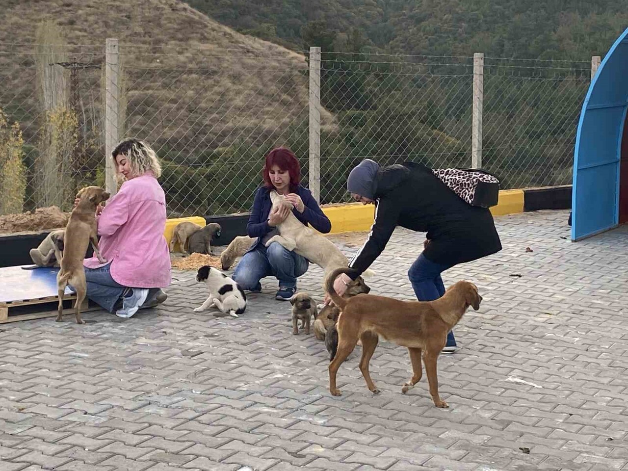 MANİSA'NIN ALAŞEHİR İLÇESİ EVRENLİ MAHALLESİ’NDE 30 DÖNÜMLÜK ALANDA ALAŞEHİR BELEDİYESİ TARAFINDAN...