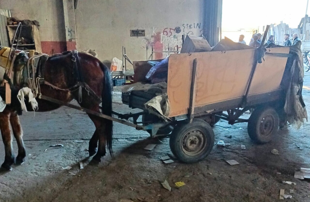 MANİSA’NIN SALİHLİ İLÇESİNDE POLİS VE ZABITA, AT ARABALI HIRSIZLIK OLAYLARINA KARŞI BAŞLATTIĞI...