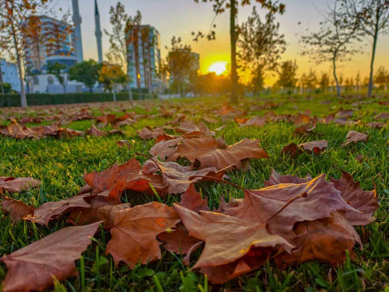 MANİSALILAR, GÜNEŞLİ HAVAYI FIRSAT BİLEREK GÜZELYURT MAHALLESİ’NDEKİ PARKLARDA SONBAHARIN...