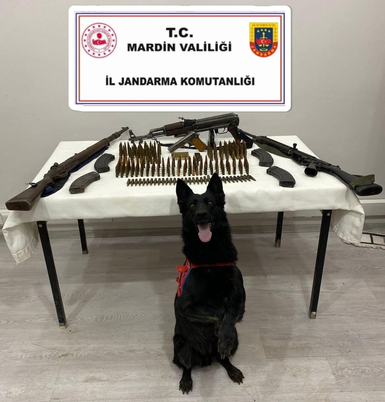 MARDİN’İN DERİK İLÇESİNDE GERÇEKLEŞTİRİLEN SİLAH KAÇAKÇILIĞI OPERASYONUNDA ÇEŞİTLİ SİLAH VE...
