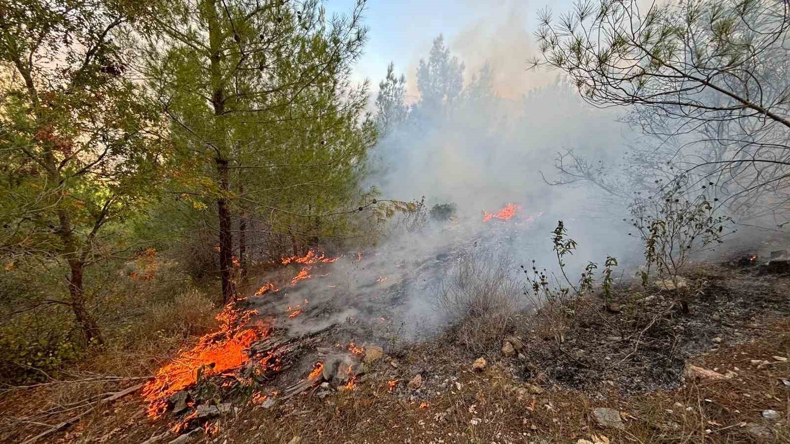 MERSİN'İN BOZYAZI İLÇESİNDE ÇIKAN ORMAN YANGINI, EKİPLERİN MÜDAHALESİYLE KONTROL ALTINA...