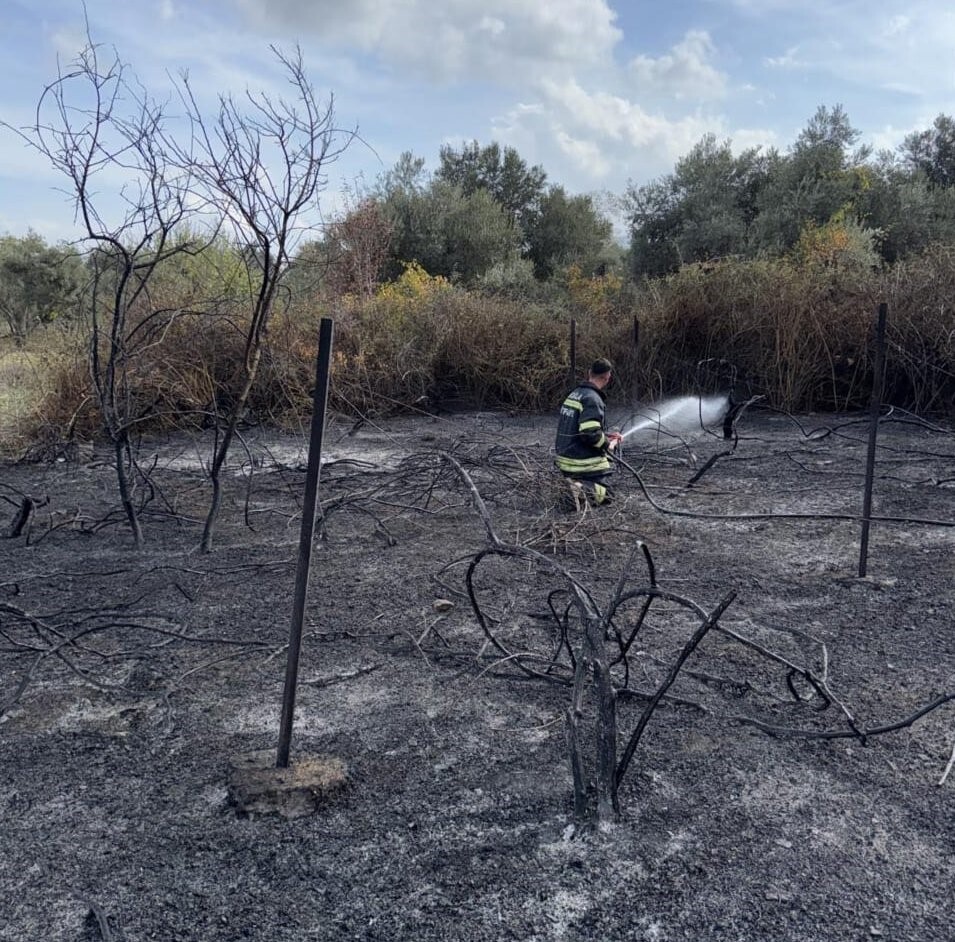 MUĞLA'NIN YATAĞAN İLÇESİ BOZÜYÜK MAHALLESİ’NDE ÇIKAN YANGIN, MUĞLA BÜYÜKŞEHİR BELEDİYESİ İTFAİYE...