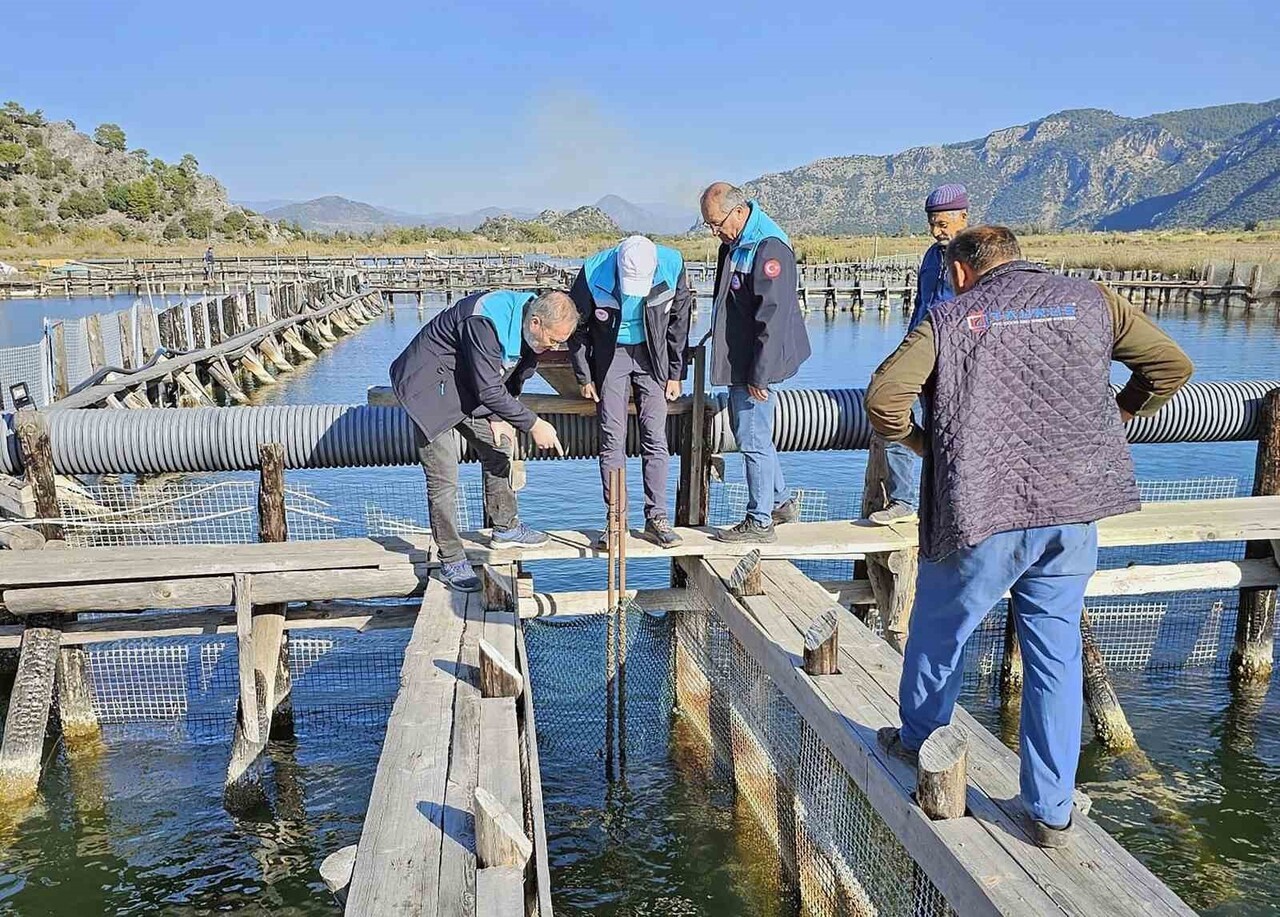 MUĞLA TARIM VE ORMAN İL MÜDÜRLÜĞÜ EKİPLERİ TARAFINDAN KÖYCEĞİZ GÖLÜ, DALYAN VE İZTUZU SAHİLİNDE...