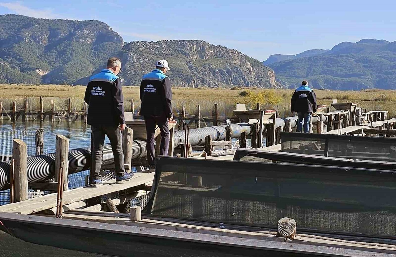 MUĞLA TARIM VE ORMAN İL MÜDÜRLÜĞÜ EKİPLERİ TARAFINDAN KÖYCEĞİZ GÖLÜ, DALYAN VE İZTUZU SAHİLİNDE...
