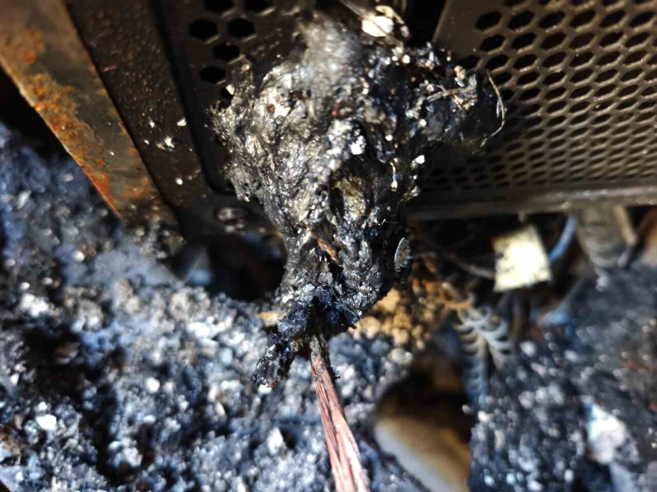 NAZİLLİ’DE BİR KİŞİNİN ÖLÜMÜNE SEBEP OLAN YANGININ BİLGİSAYAR KASASINDAN ÇIKTIĞI TESPİT...