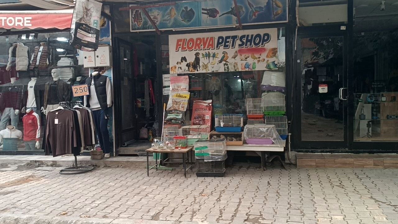 OLAYIN YAŞANDIĞI PETSHOP DÜKKANI