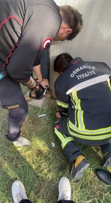 OSMANİYE KEDİ KURTARMA