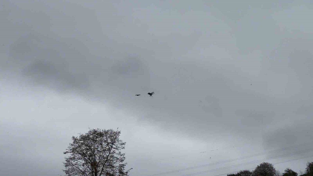 RİZE'DE BU YIL 3.'SÜ DÜZENLENEN ‘ATMACA SALMA FESTİVALİ' RENKLİ GÖRÜNTÜLERE SAHNE OLDU.