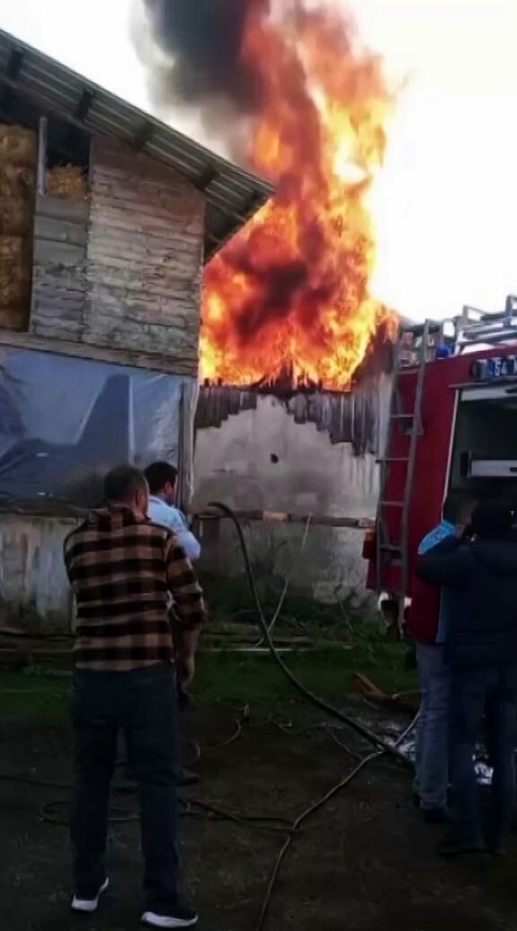 SAKARYA'NIN HENDEK İLÇESİNDE EVDE ÇIKAN YANGIN BİTİŞİĞİNDEKİ SAMANLIĞA SIÇRADI. EV VE SAMANLIĞIN...