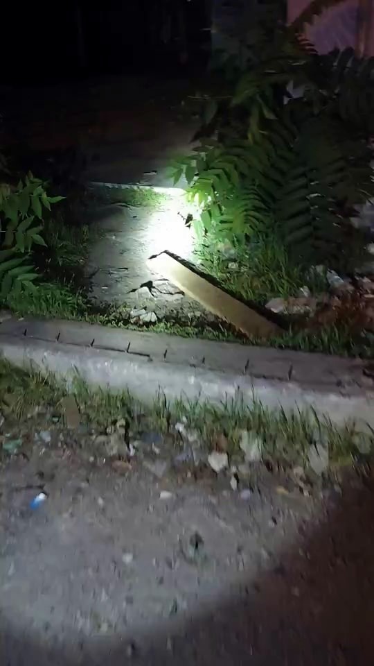 SAKARYA’DA UYUŞTURUCU İLE MÜCADELE ÇERÇEVESİNDE POLİS EKİPLERİNCE METRUK BİNALARDA DENETİMLER...