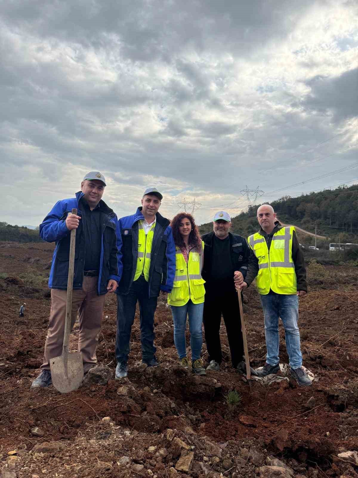 SAKARYA ELEKTRİK DAĞITIM A.Ş. (SEDAŞ), MİLLİ AĞAÇLANDIRMA GÜNÜ KAPSAMINDA KOCAELİ, SAKARYA, DÜZCE...