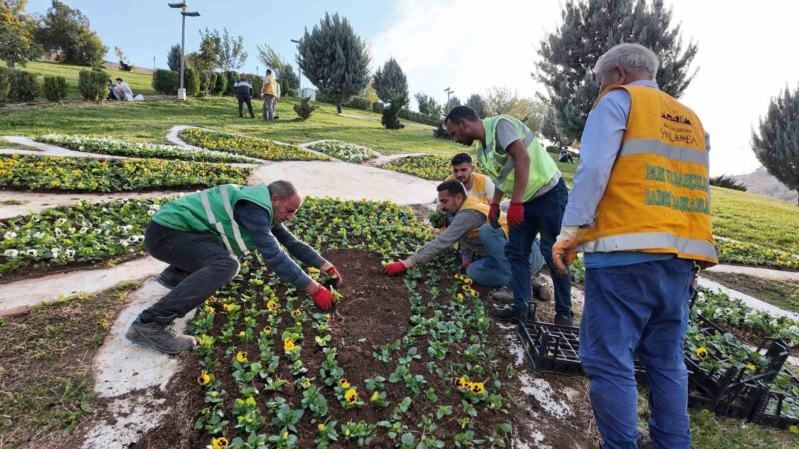 ŞANLIURFA’DA 400 BİN ÇİÇEK TOPRAKLA BULUŞUYOR