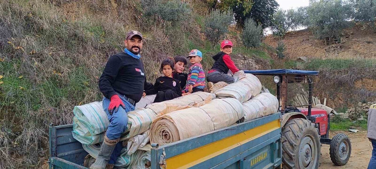 SARIGÖL VE ÇEVRESİNDE HASADI TAMAMLANAN ÜZÜM BAĞLARINDA, ÖRTÜ ALTI BAĞLARDA KULLANILAN BEYAZ...