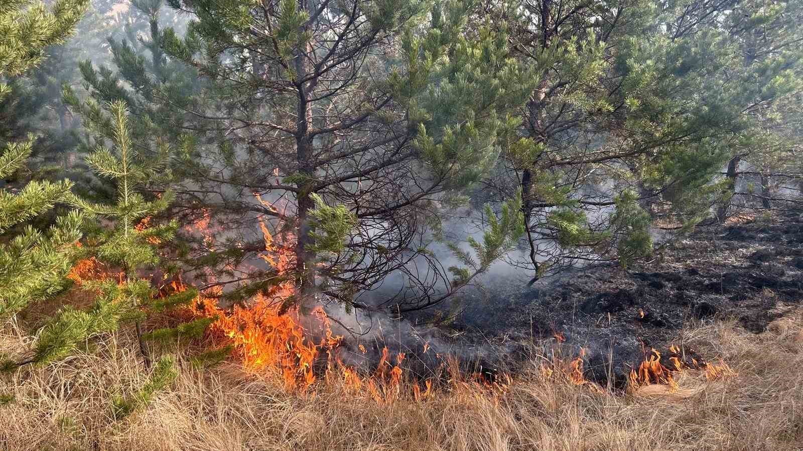 SARIKAMIŞ ORMANLARINDA ÇIKAN ÖRTÜ YANGINI EKİPLERİ SEFER ETTİ. BÖLGEYE İNTİKAL EDEN EKİPLERİ...