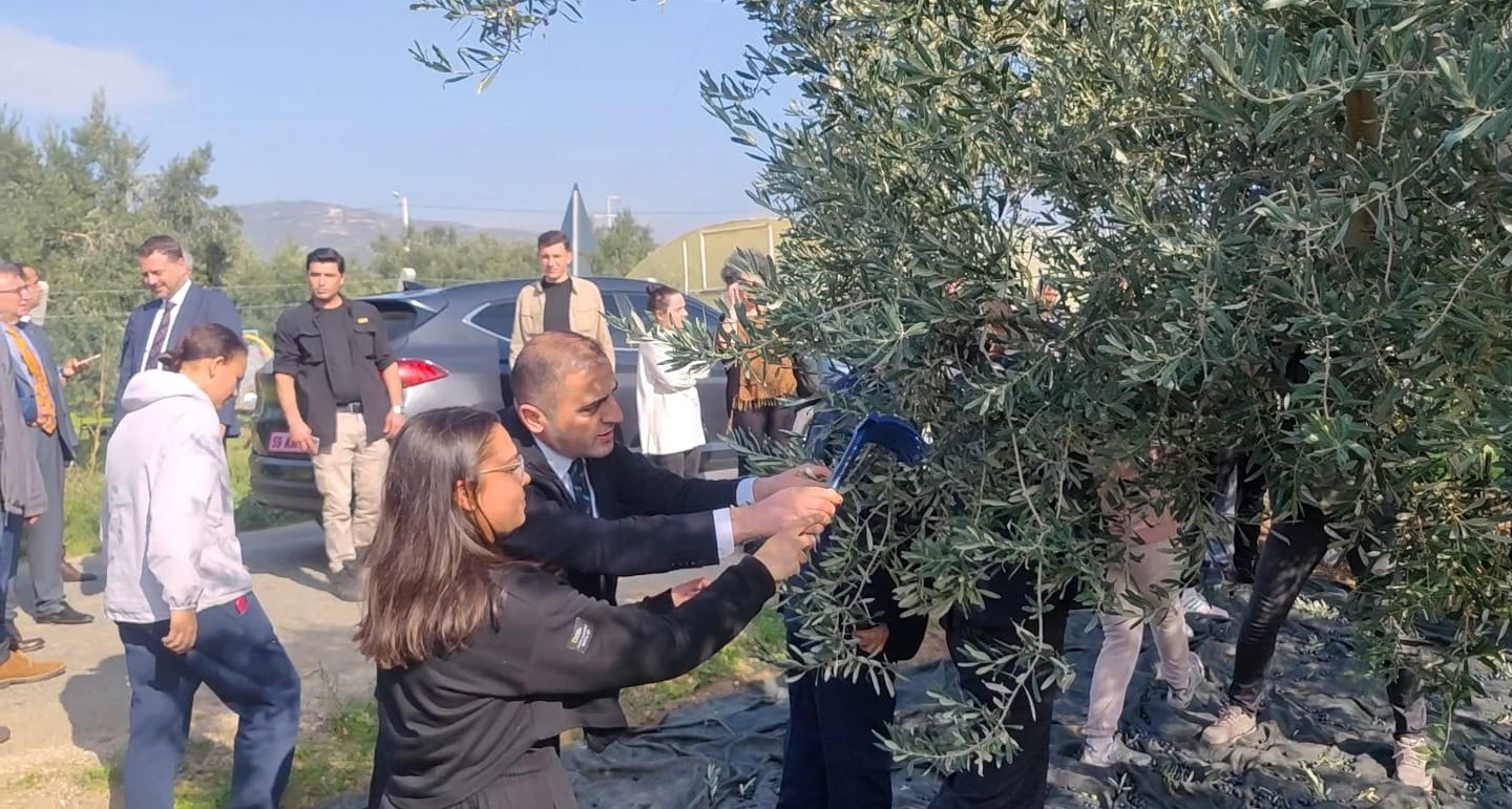 ŞARKÖY ZEYTİNİ İÇİN HASAT ETKİNLİĞİ DÜZENLENDİ.