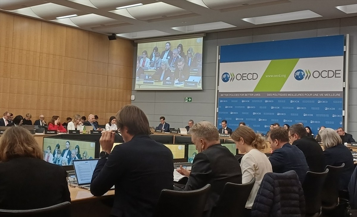 Sermaye Piyasası Kurulunun (SPK) ulusal eşgüdüm birimi sıfatıyla üyesi olduğu Kurumsal Yönetim...