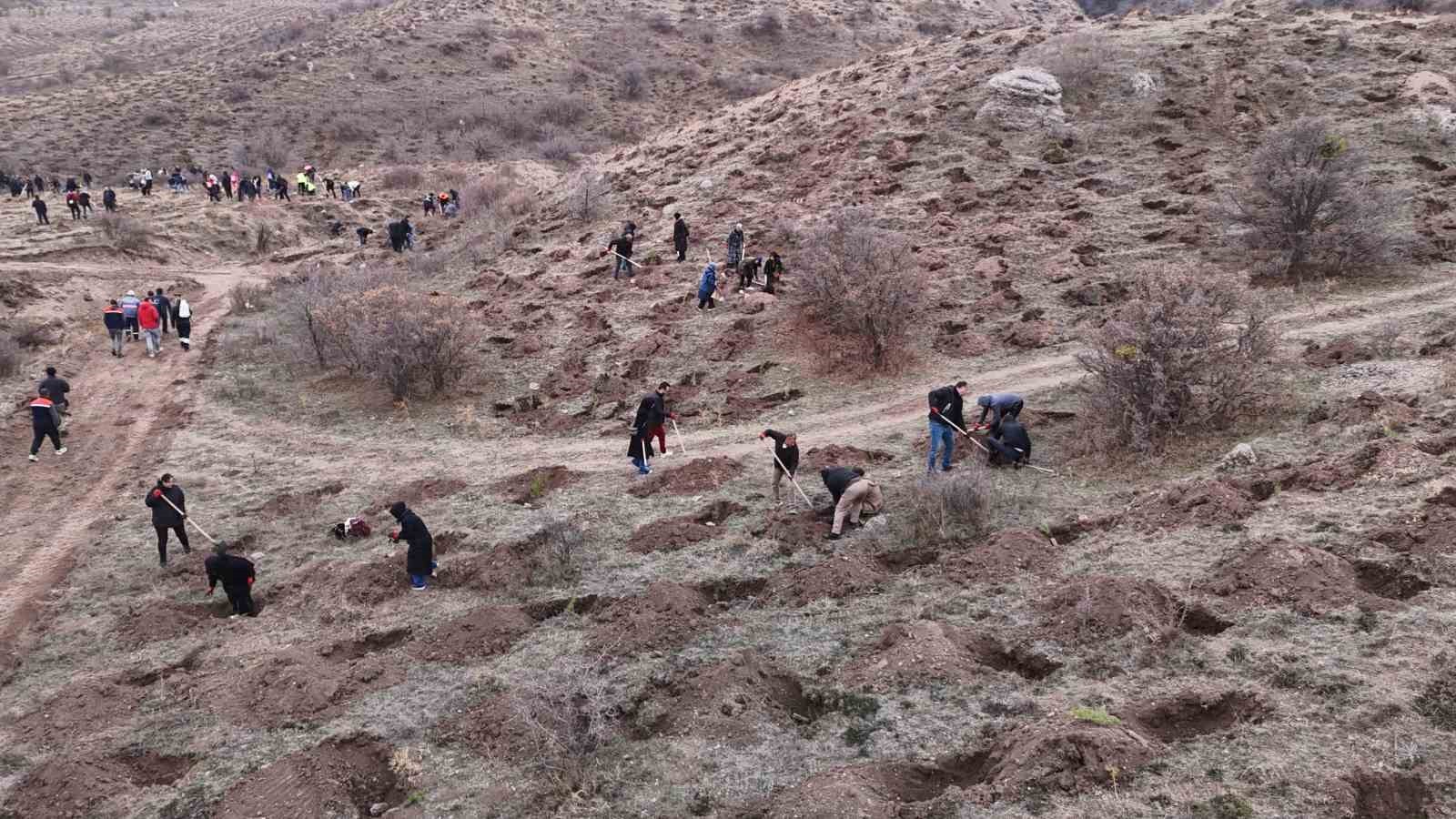 SİVAS’TA 11 KASIM MİLLİ AĞAÇLANDIRMA GÜNÜ KAPSAMINDA SİVAS BELEDİYESİ PERSONELLERİ TARAFINDAN...