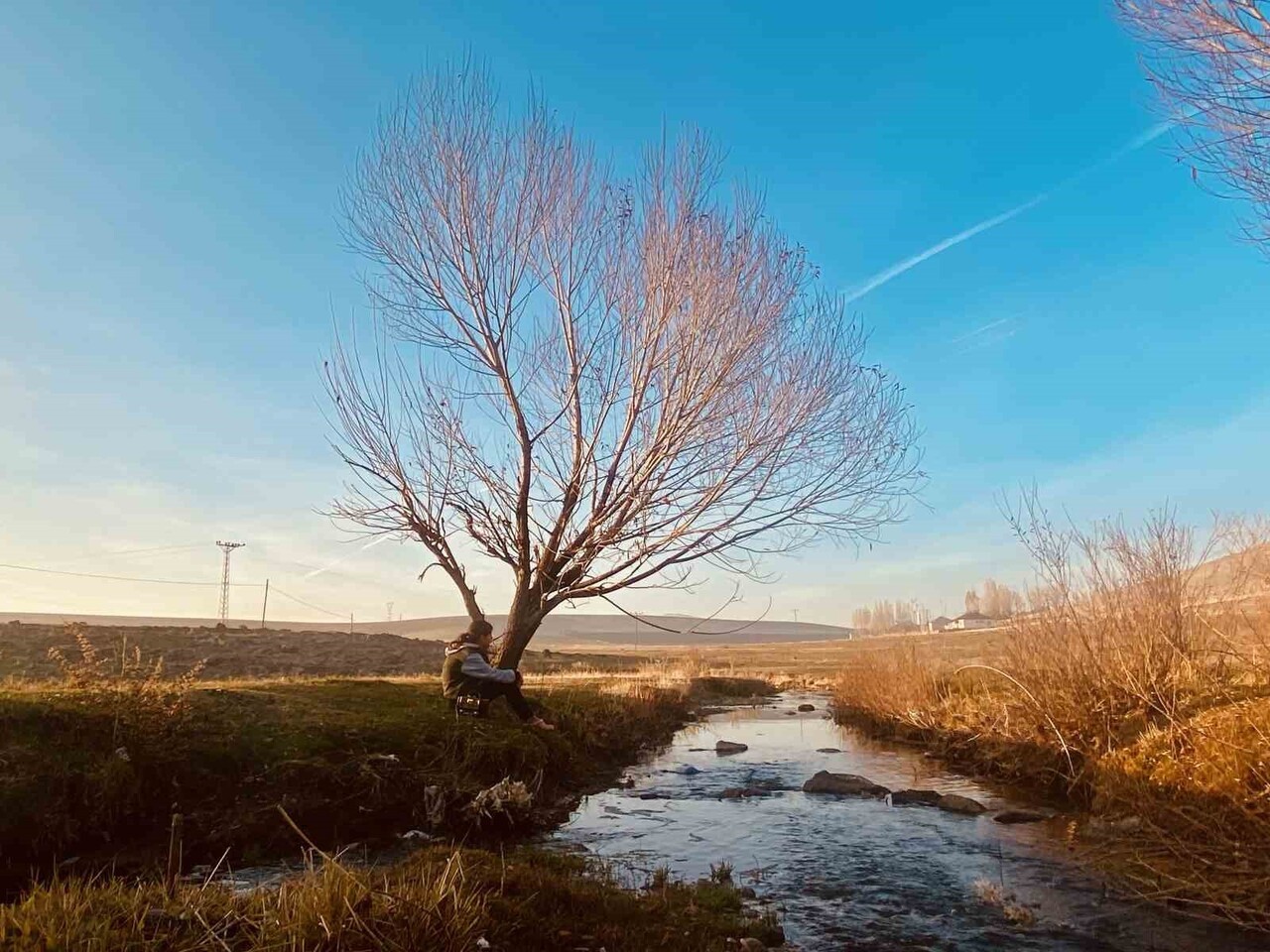SONBAHARDA SARARAN YAPRAKLAR RENKLİ ŞÖLEN OLUŞTURDU