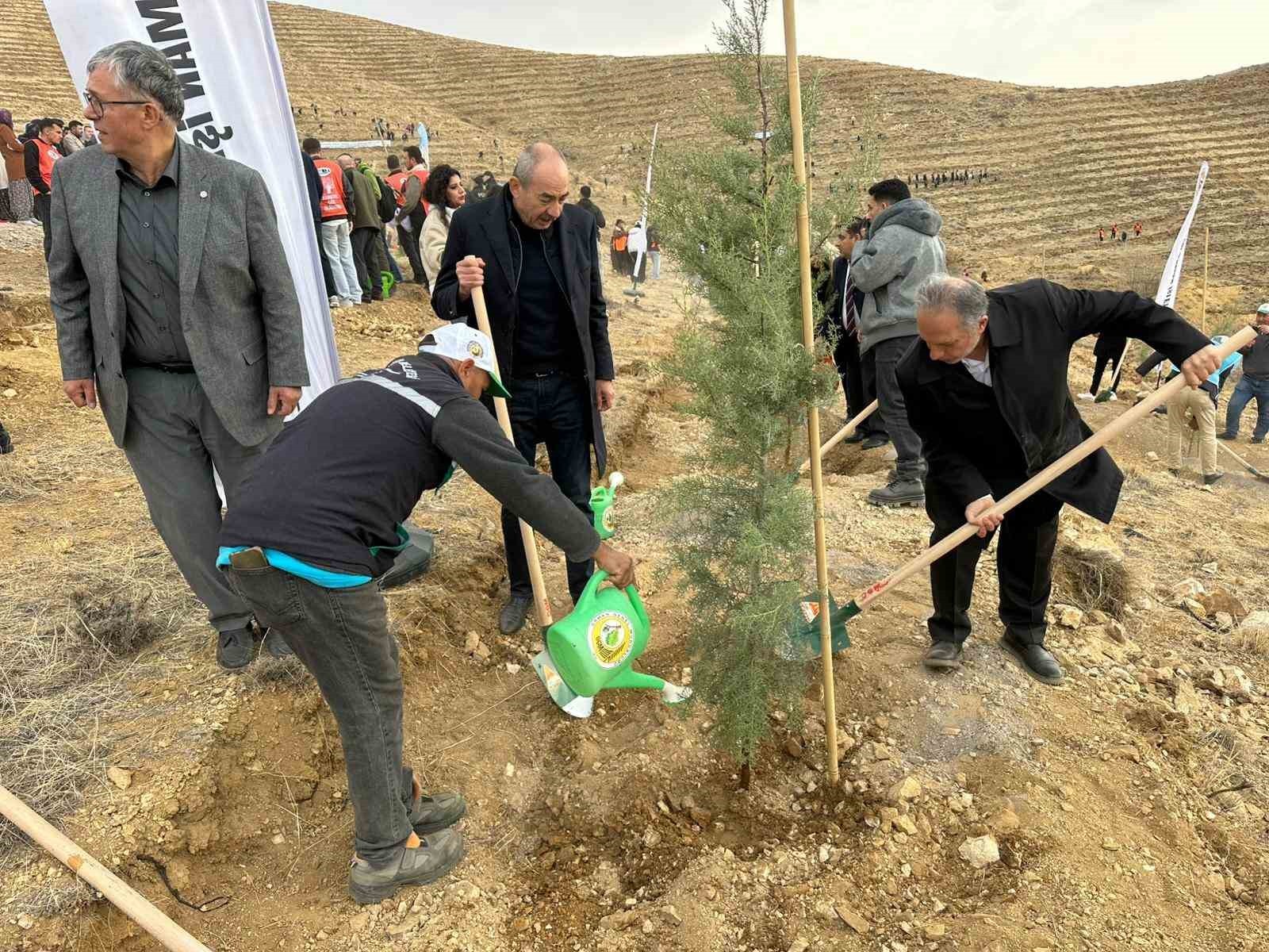 TALAS BELEDİYESİ TARAFINDAN MİLLİ AĞAÇLANDIRMA SEFERBERLİĞİ KAPSAMINDA İLÇENİN SİMGELERİNDEN ALİ...