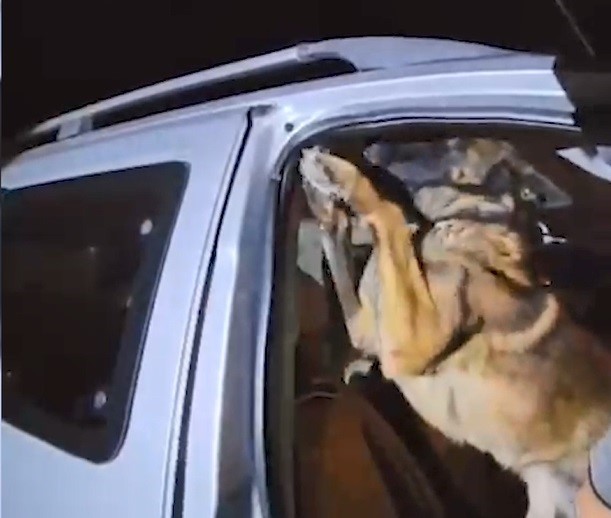 TATVAN İLÇESİNDEN DURDURULAN BİR ARAÇTA YAPILAN ARAMA METANFETAMİN VE EROİN MADDESİ BULUNDU.