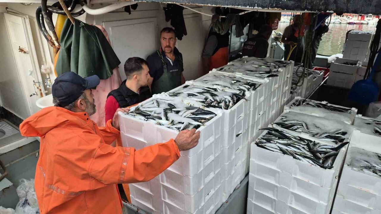 TEKİRDAĞ'IN SÜLEYMANPAŞA İLÇESİNDE LODOSUN ARDINDAN DENİZE AÇILAN BALIKÇILARIN AĞLARINA YÜZLERCE...