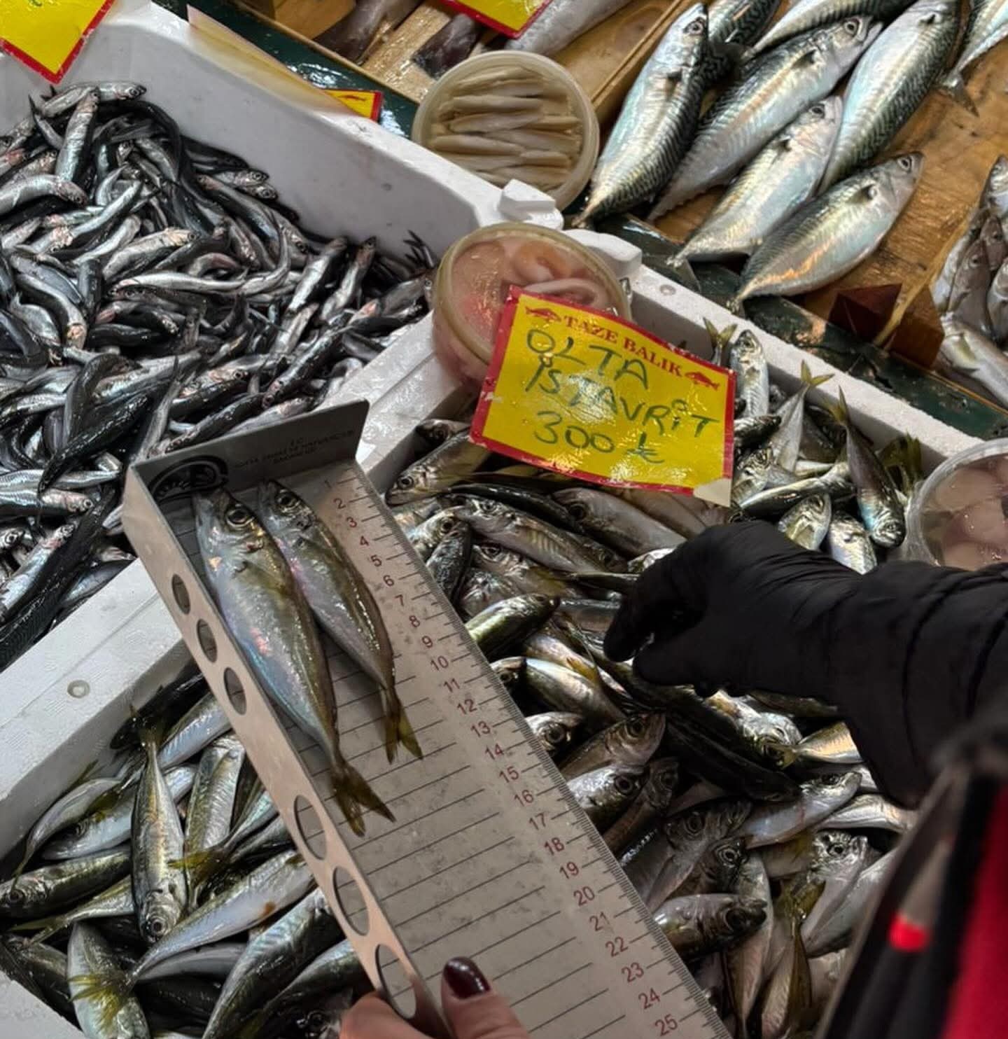 TEKİRDAĞ TARIM VE ORMAN MÜDÜRLÜĞÜ EKİPLERİ, 1380 SAYILI SU ÜRÜNLERİ KANUNU ÇERÇEVESİNDE PERAKENDE...
