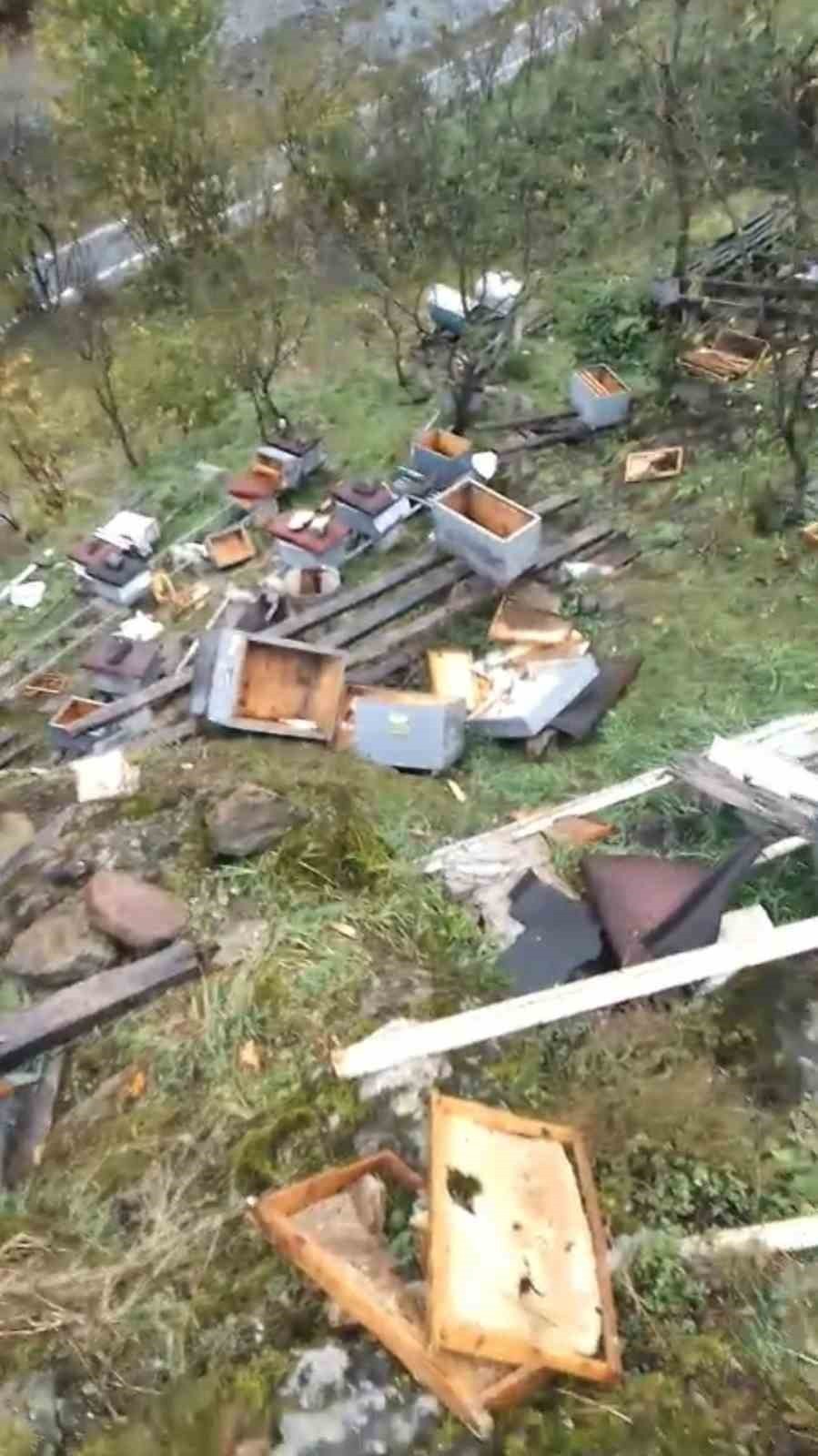 TRABZON’UN ARAKLI İLÇESİNE BAĞLI TAŞGEÇİT MAHALLESİ’NDE ARICILIK YAPAN ZİYA KOTAMAN’A AİT ARI...