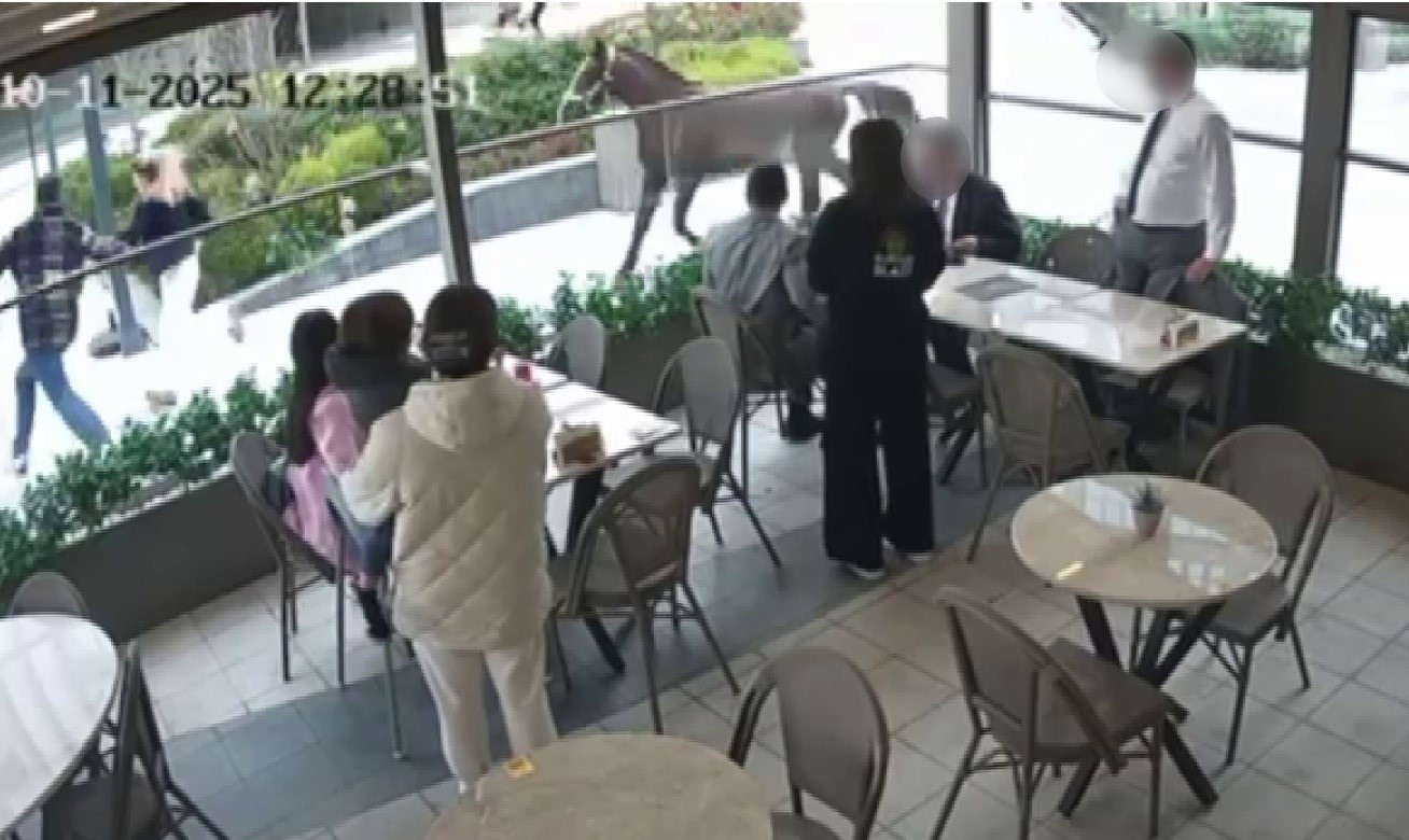 ÜMRANİYE'DE BAŞIBOŞ GEZEN BİR AT, ÇEVREDE BULUNAN VATANDAŞLARI DAKİKALARCA KOVALADI. O ANLAR...