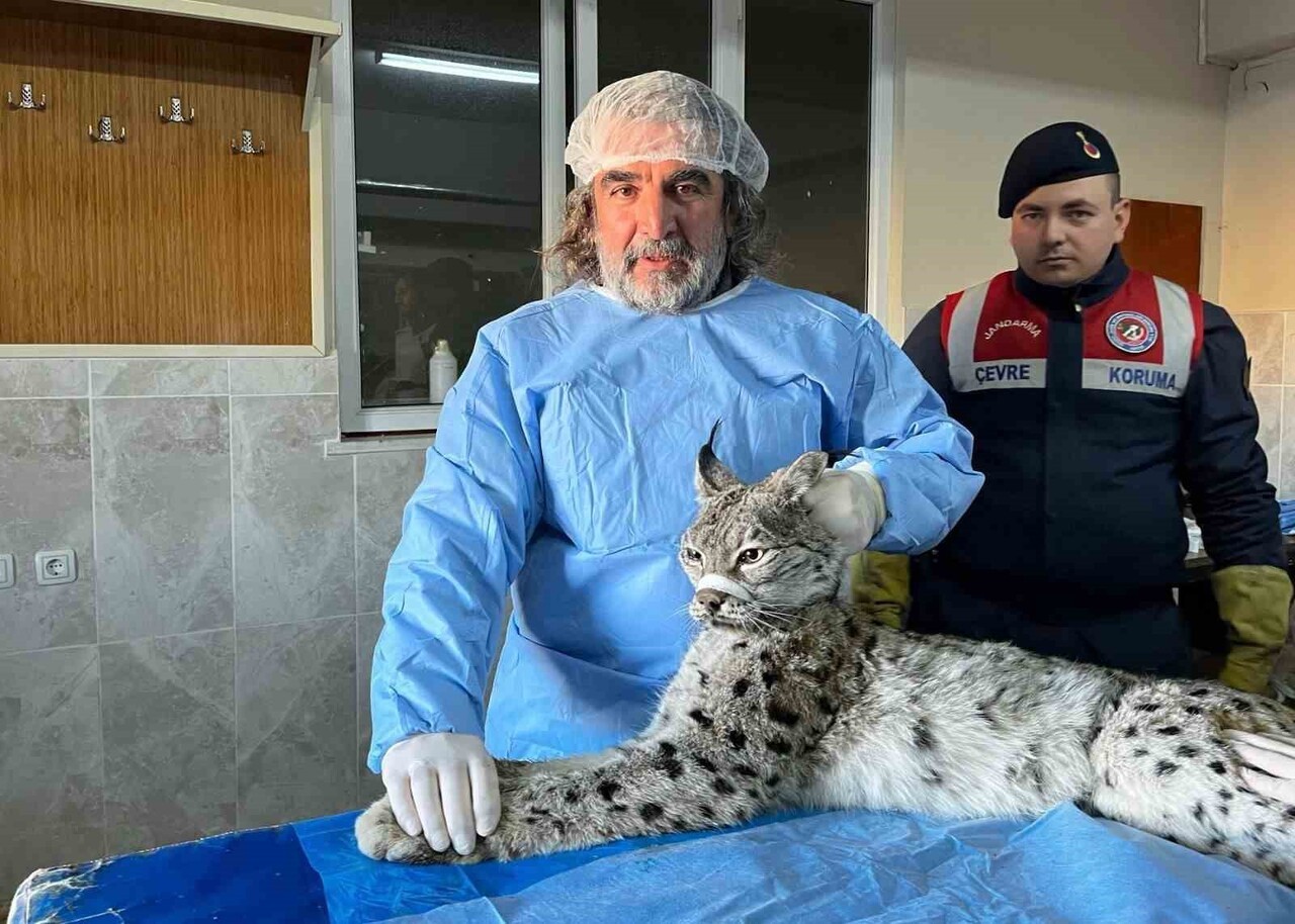 VAN YÜZÜNCÜ YIL ÜNİVERSİTESİ (VAN YYÜ) YABAN HAYVANLARI KORUMA VE REHABİLİTASYON MERKEZİ MÜDÜRÜ...